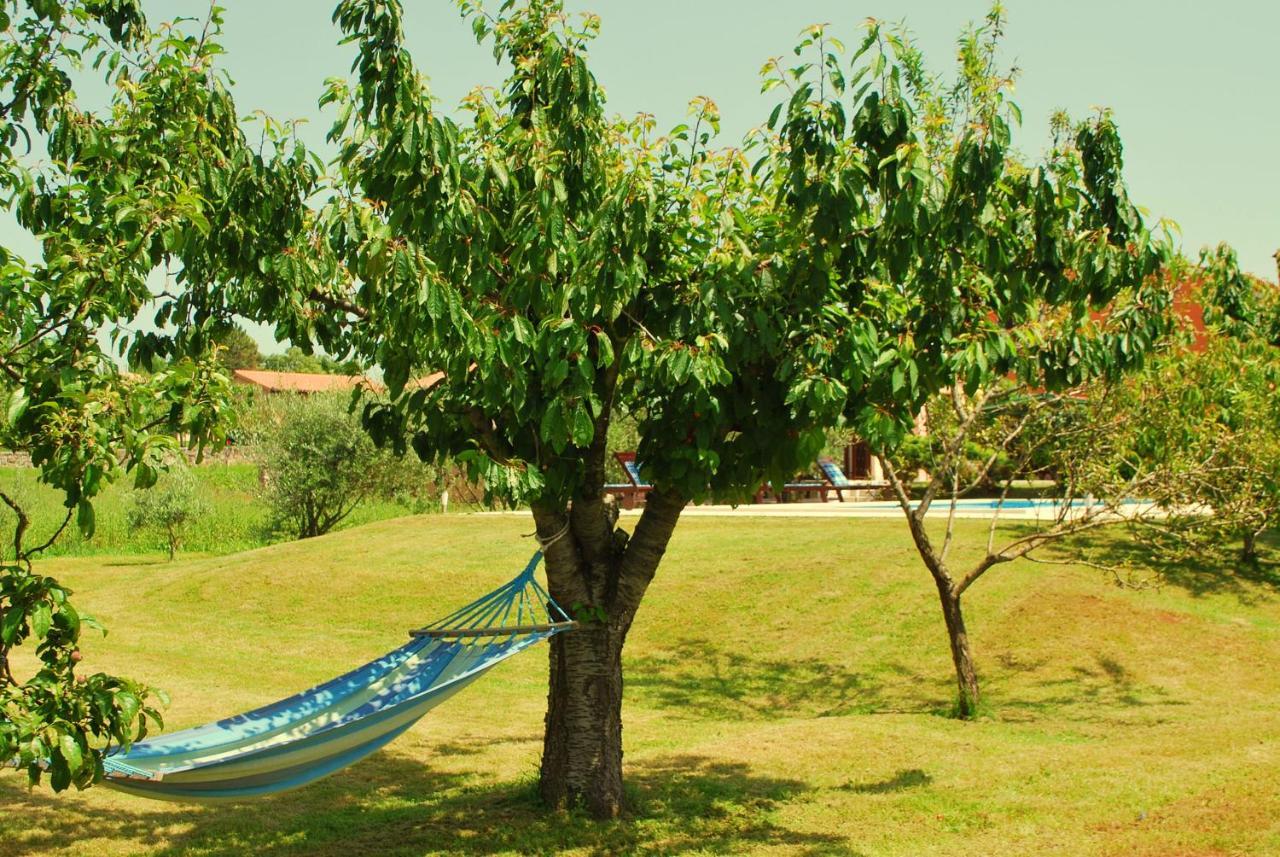 Villa Dorina Barban Esterno foto