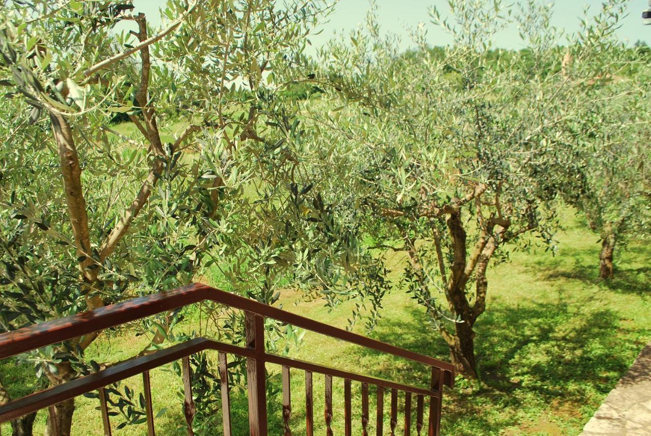 Villa Dorina Barban Esterno foto